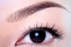 植眉項(xiàng)目示例圖